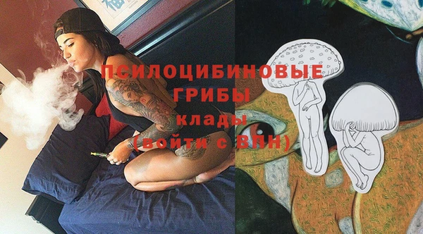 амф Абаза