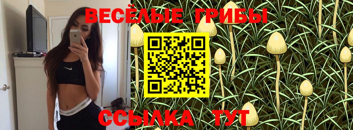 Галлюциногенные грибы MAGIC MUSHROOMS  Вход с VPN  Учалы 